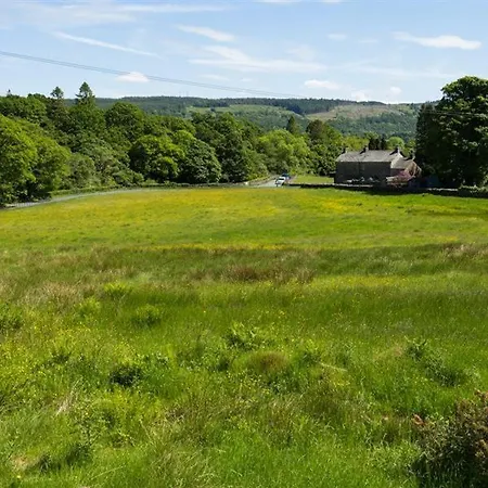 Tatil Evi Curdle Dub